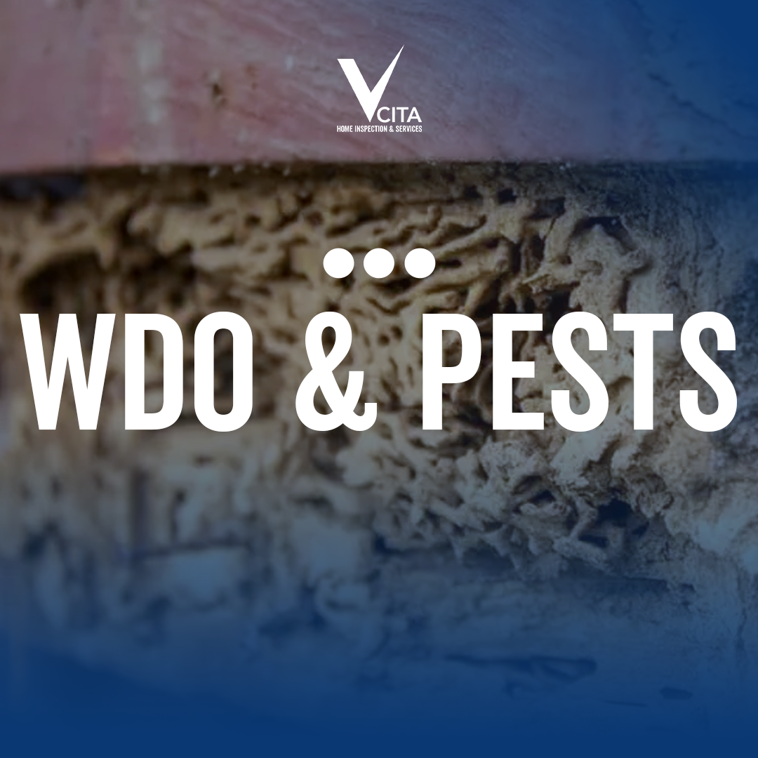 WDO/Pest Products