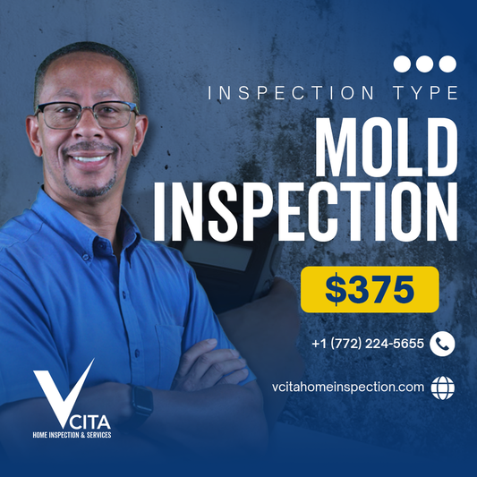 Mold Inspection