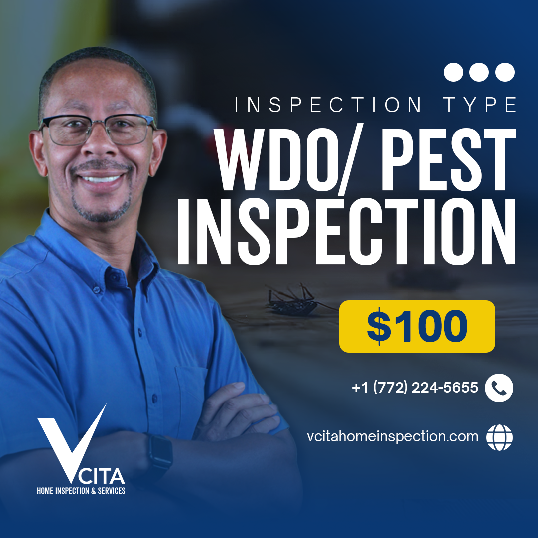 WDO/Pest Inspection